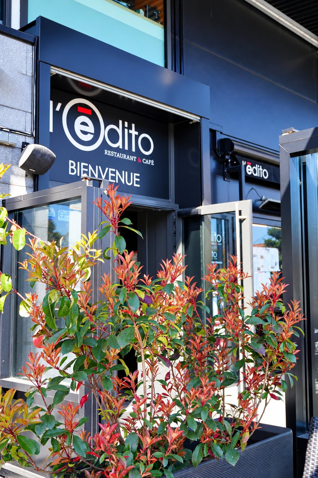 Entrée du restaurant café l'édito avec son enseigne « Bienvenue » et, au premier plan, un arbuste aux jeunes pousses rouges dans un bac.
